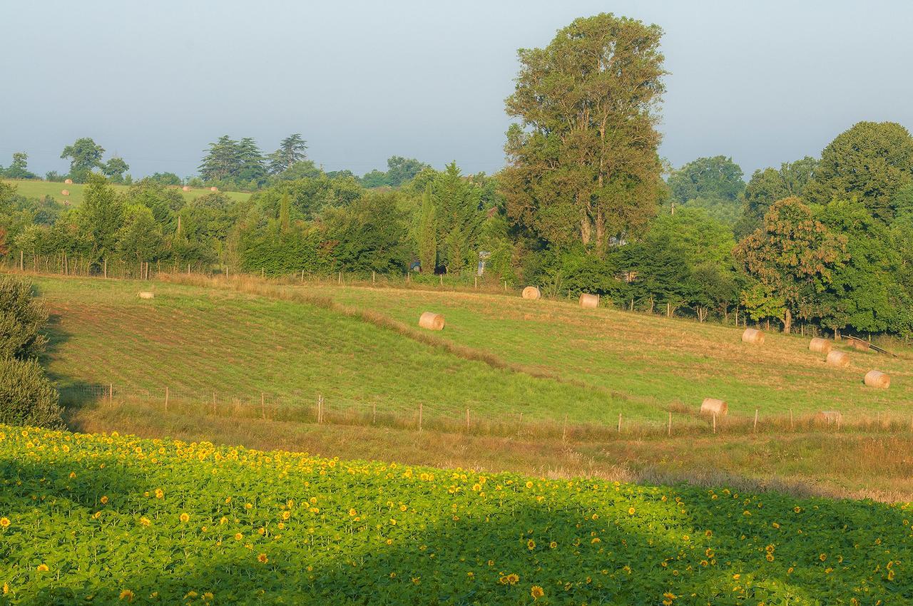 Les Maisons Du Golf D'Armagnac Eauze Exteriér fotografie